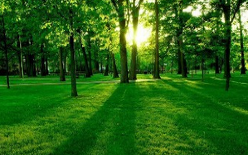 環(huán)境在線監(jiān)控方案